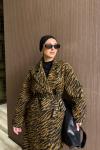 Aden Kaban Camel